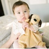 image:imageWubbaNub Brown Puppy Lovey