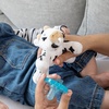 image:imageWubbaNub Cow Detachable Pacifier Moms Choice Award WinnerWhite with black spots WubbaNub Cow Detachable Pacifier