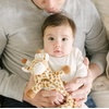image:imageWubbaNub Giraffe Lovey