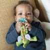 image:imageWubbaNub Infant Pacifier  Fairytale Dragon