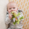 image:imageWubbaNub Infant Pacifier  Fairytale Dragon