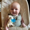 image:imageWubbaNub Infant Pacifier  Llama