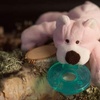 image:imageWubbaNub Infant Pacifier  Pink Bear
